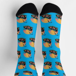 Regulador Retroativo Sunset