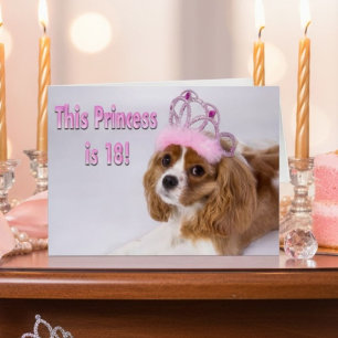 Rei Charles Cartão dos Cavalier da princesa Ser 1