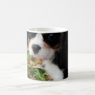 Rei Charles Cavalier Spaniel Caneca