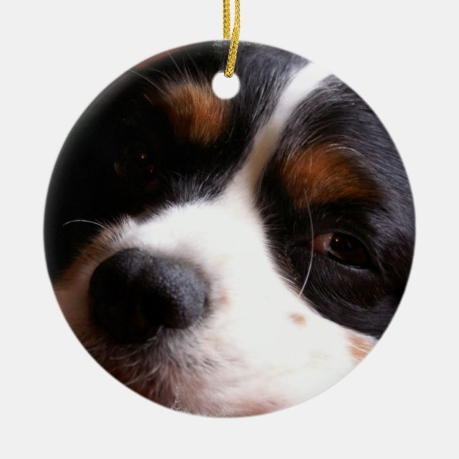 Rei Charles Cavalier Spaniel Ornamento (Frente)