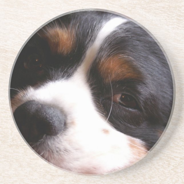 Rei Charles Cavalier Spaniel Porta copos (Frente)
