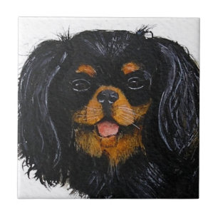 Rei Charles Cavalier Spaniel preto e bronzeado