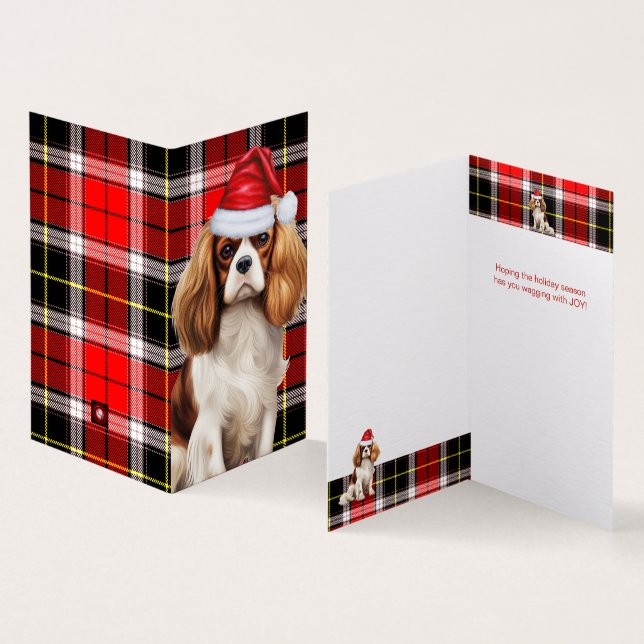 Rei Charles Spaniel com Natal Xadrez (Interior e exterior)