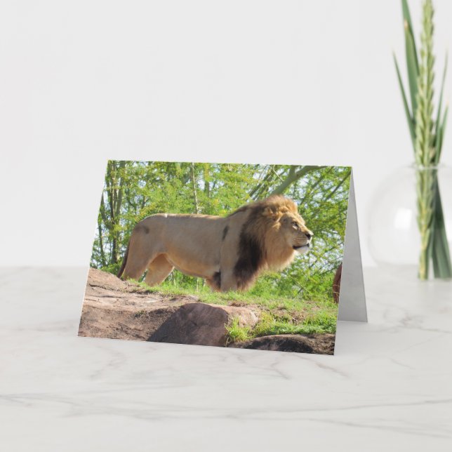 Rei do Cartão de Saudação da Selva (Leão) (Frente)