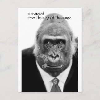 rei do cartão postal da selva