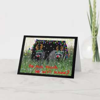 Reindeer quer cartão de Natal