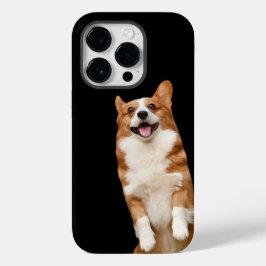Reino Animal - Corgi Fofo Incrível
