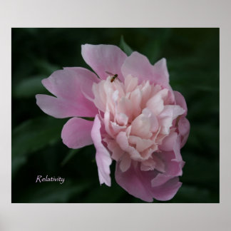 Relatividade - Poster de Arte Framable