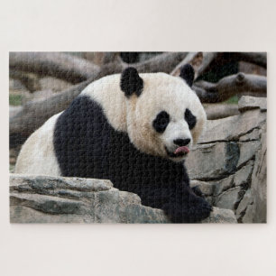 Relaxando o Gigante Panda, Quebra-cabeça de Jigsa