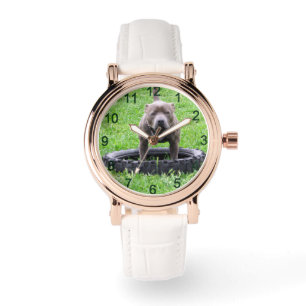 Relógio Adulto Masculino Staffordshire Terrier Pronto Para