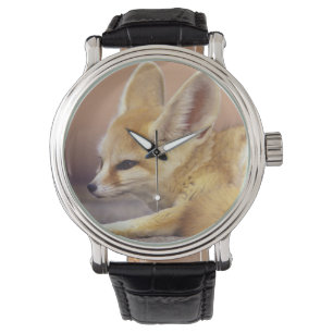 Relógio África do norte. Zerda de Fennec Fennecus)