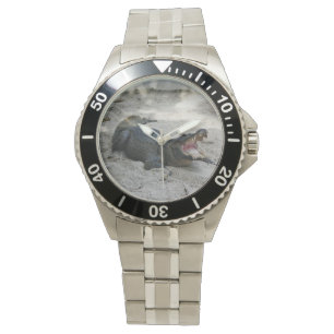 Relógio Alligator, Fort Lauderdale, Flórida