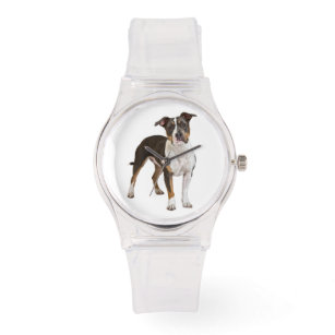 Relógio American Staffordshire Terrier Puppy Dog - Amstaff