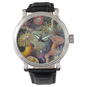 Relógio Anêmonas-do-mar Vintage por Ernst Haeckel