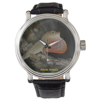 Relógio Anole Wristwatch: Anolis marcanoi