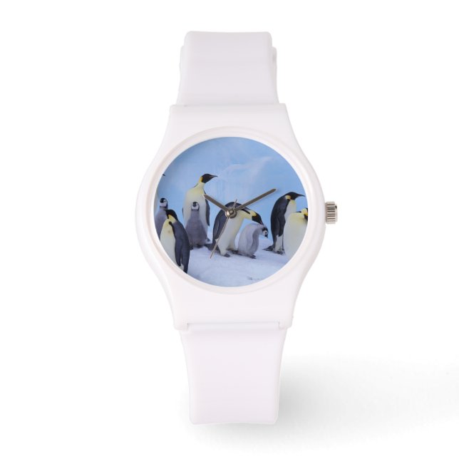 Relógio Antártida, Pinguins Imperadores (Frente)