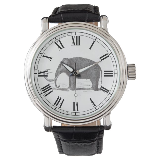 Relógio Antiguamente Engraçado do Numeral Romano Wooly Mam (Frente)