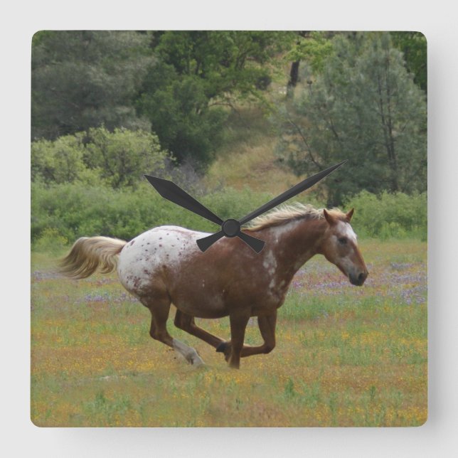 Relógio Appaloosa (Frente)