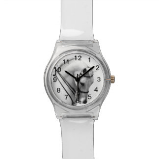 Relógio árabe majestoso do cavalo