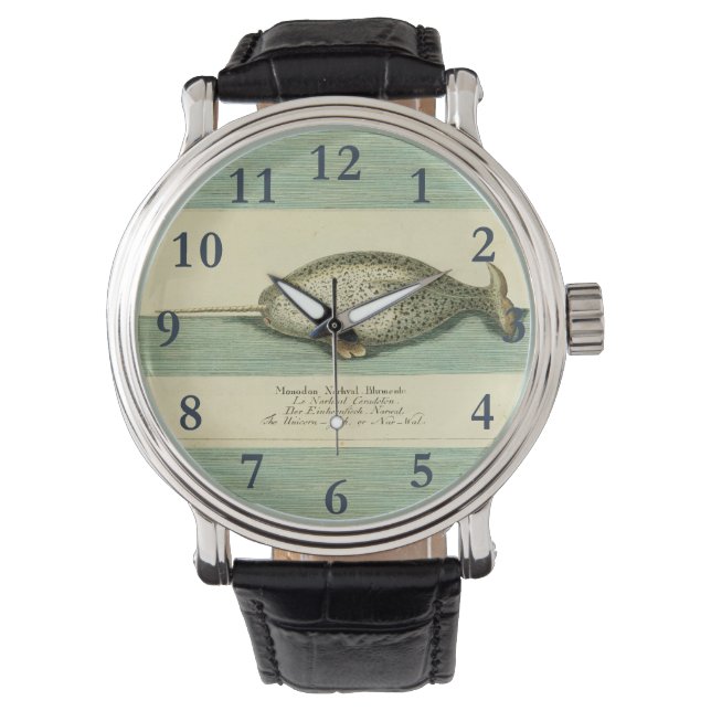 Relógio Arte Científica Narral Antiquada Por Cores De Bale (Frente)