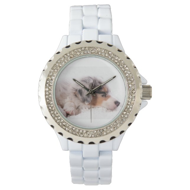 Relógio Australian shepherd puppy (Frente)