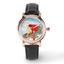 Aves De Inverno Para A Neve E Mulheres De Caixa Po