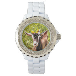 Relógio Baby Goat Rhinestone Watch