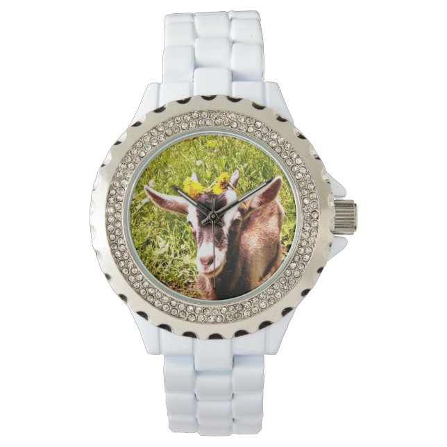 Relógio Baby Goat Rhinestone Watch (Frente)