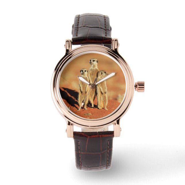 Relógio Bebês Mais Pobres | 3 Meerkats (Frente)