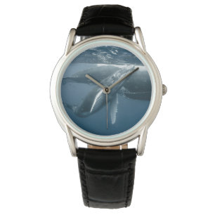 Relógio Bebês Mais Pobres   Baleia-jubarte