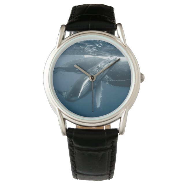 Relógio Bebês Mais Pobres | Baleia-jubarte (Frente)