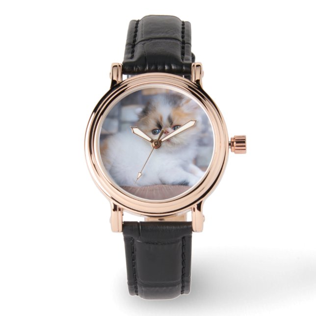 Relógio Bebês Mais Pobres | Calico Pérsico Kitten (Frente)