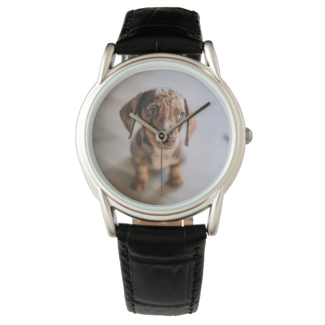 Relógio Bebês Mais Pobres | Castanho Dachshund Puppy (Frente)