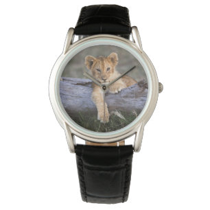 Relógio Bebês Mais Pobres Cubo-Leão-Cinto