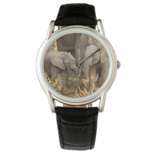 Relógio Bebês Mais Pobres   Dois elefantes jovens