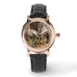 Relógio Bebês Mais Pobres Dois elefantes jovens