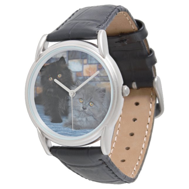 Relógio Bebês Mais Pobres | Gatinhos Persa em Aberto (Angular)