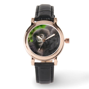 Relógio Bebês Mais Pobres   Jovens Montanhas Gorilla