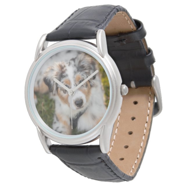 Relógio Bebês Mais Pobres | Pastor australiano (Angular)