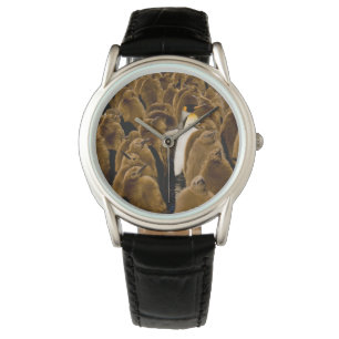 Relógio Bebês Mais Pobres   Pinguim Entre Jovens