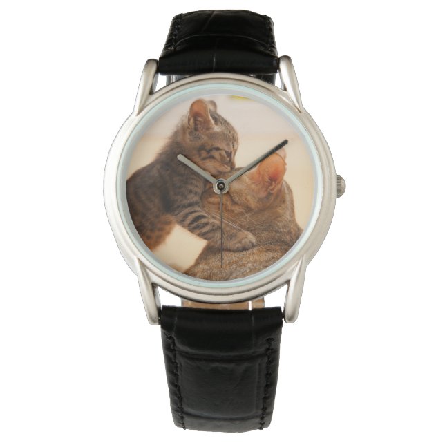 Relógio Bebês Mais Pobres | Tabby Kitten Kiss (Frente)