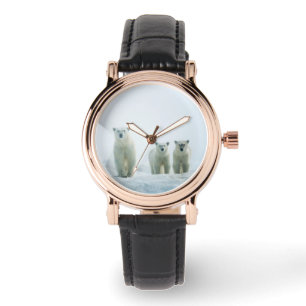 Relógio Bebês Mais Pobres   Três Ursos Polares Jovens