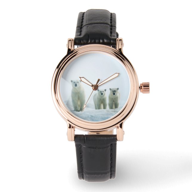 Relógio Bebês Mais Pobres | Três Ursos Polares Jovens (Frente)