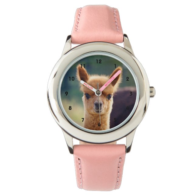 Relógio Belo Bebê Alpaca Watch (Frente)