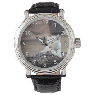 Relógio Belo Bebê, Leão Branco