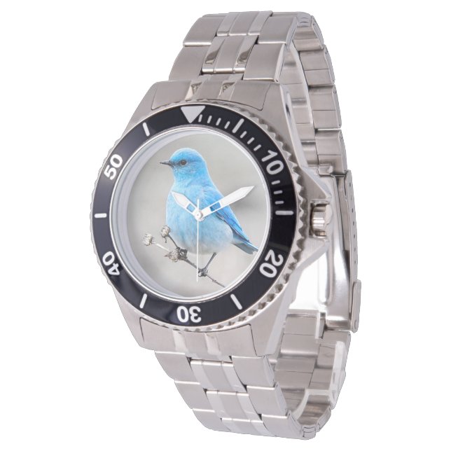 Relógio Belo pássaro-azul-da-montanha na transia (Angular)