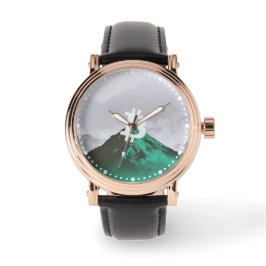 Relógio Bitcoin All-Time-High (ATH)