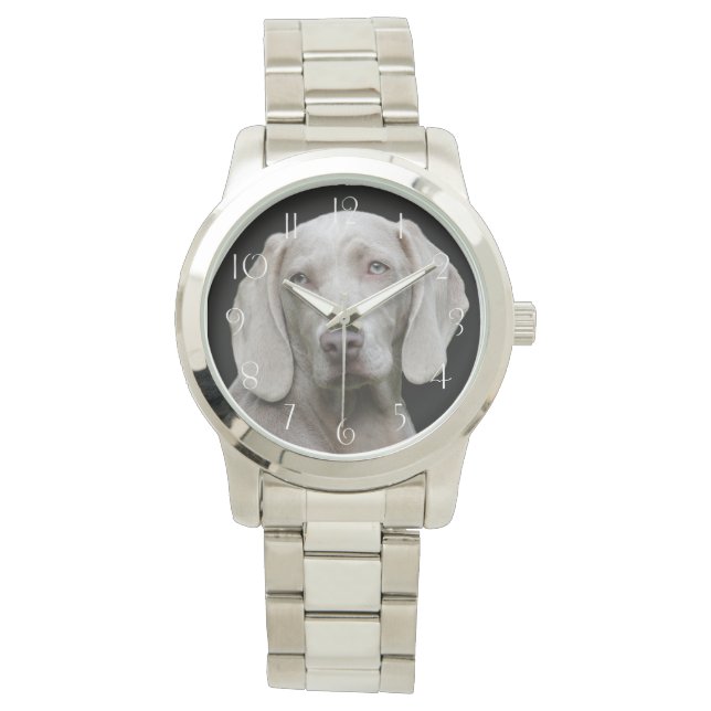 Relógio Bonito Cão Caçador de Weimaraner (Frente)