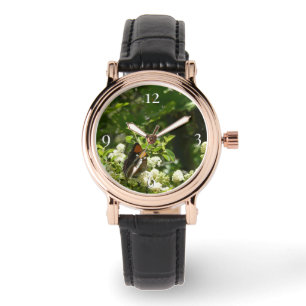 Relógio Borboleta Irmã da Califórnia em Yosemite