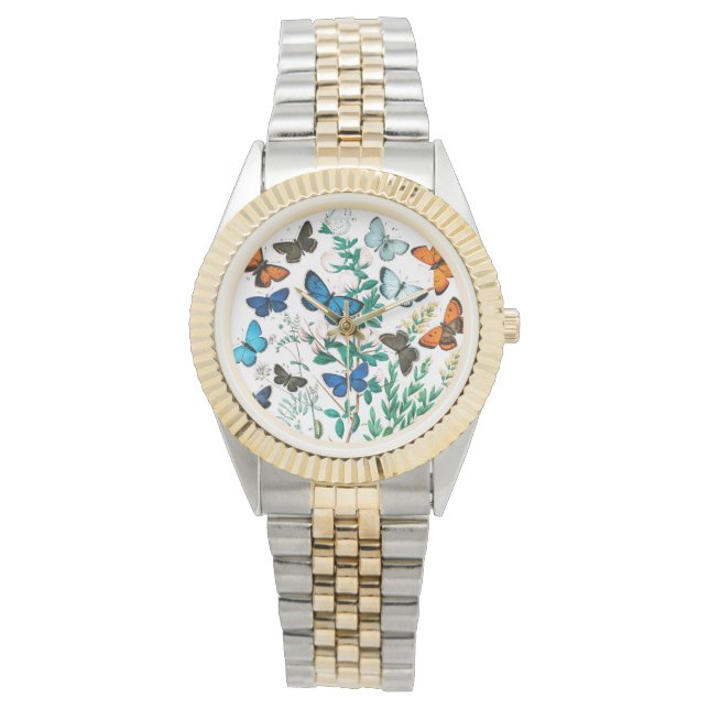 Relógio Borboletas, lagartas de William Forsell Kirby (Frente)